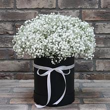 Композиция коробка гипсофил в Лянторе Цветочная композиция из Гипсофила в шляпной коробке в Лянторе