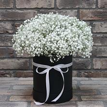 Композиция коробка гипсофил в Лянторе Цветочная композиция из Гипсофила в шляпной коробке в Лянторе